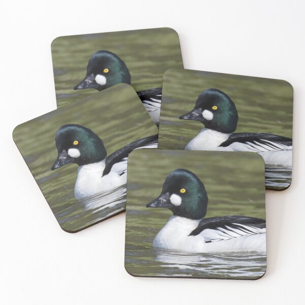 Item preview, Common Goldeneye designed and sold by LaurenTucker.