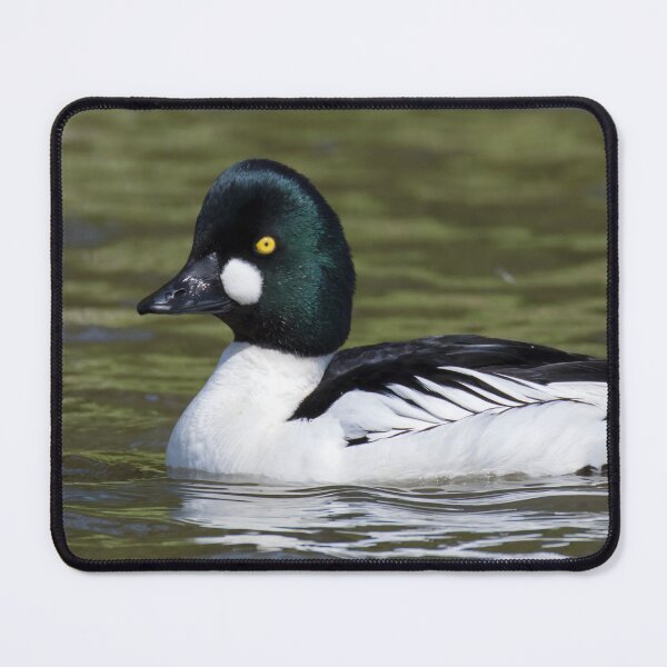 Item preview, Common Goldeneye designed and sold by LaurenTucker.