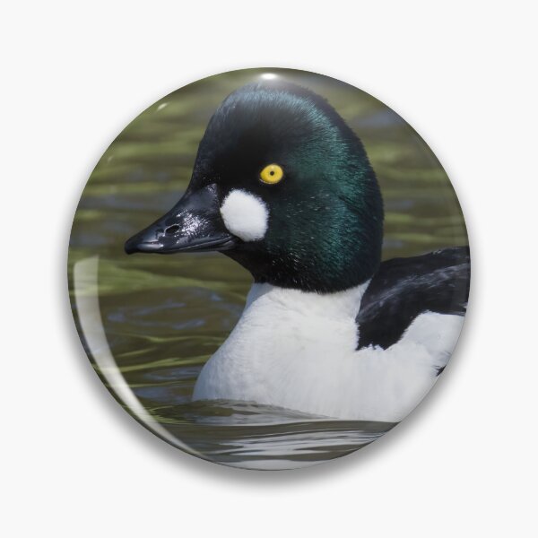 Item preview, Common Goldeneye designed and sold by LaurenTucker.
