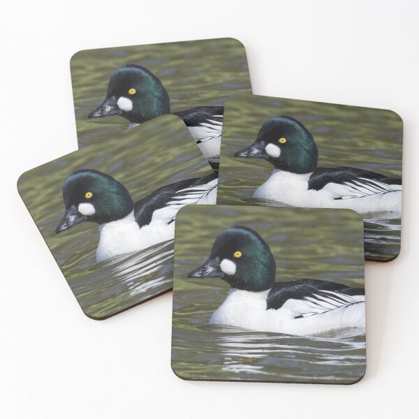 Item preview, Common Goldeneye designed and sold by LaurenTucker.