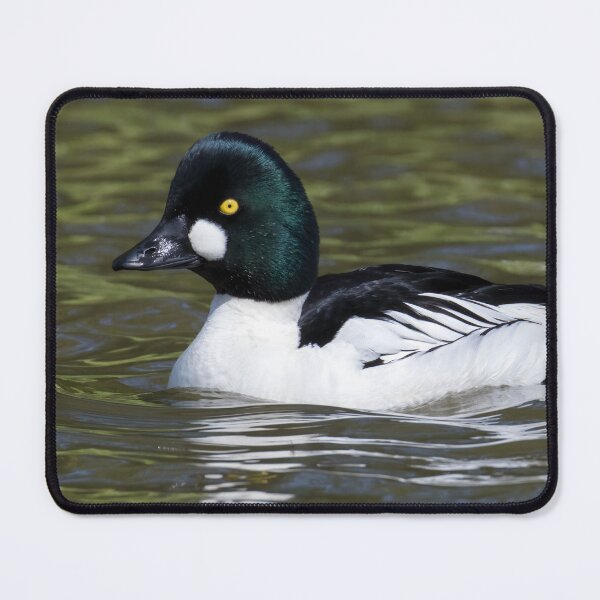 Item preview, Common Goldeneye designed and sold by LaurenTucker.