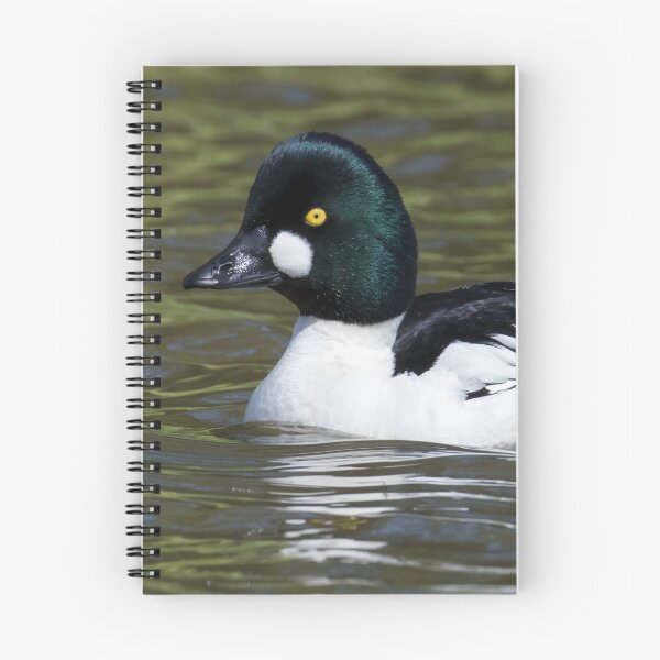 Item preview, Common Goldeneye designed and sold by LaurenTucker.