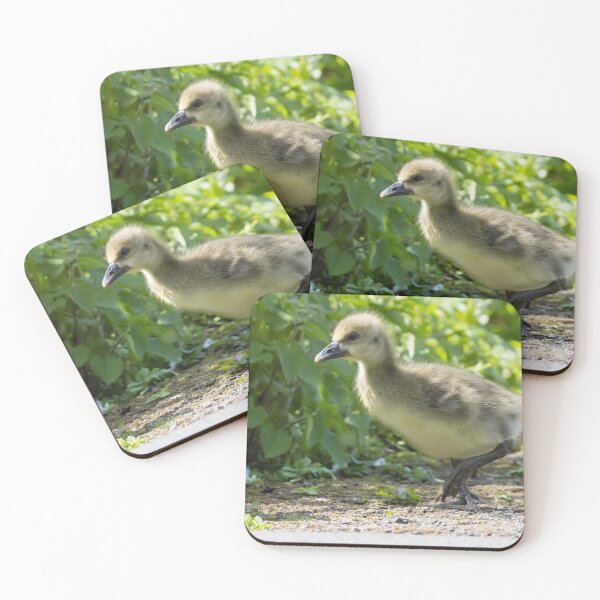 Item preview, Greylag Goose - Gosling designed and sold by LaurenTucker.