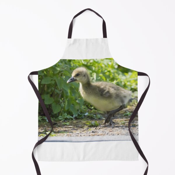 Item preview, Greylag Goose - Gosling designed and sold by LaurenTucker.