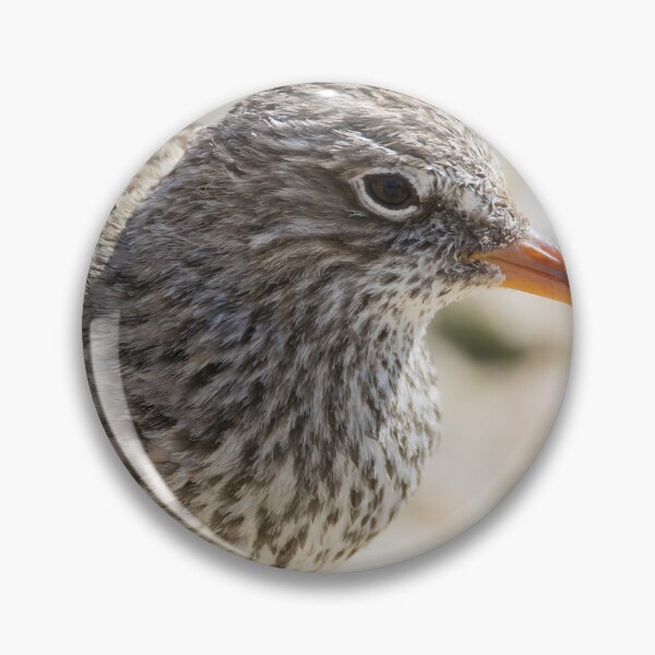 Item preview, Common Redshank designed and sold by LaurenTucker.