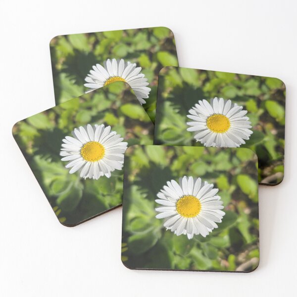 Item preview, Single Daisy  designed and sold by cherrynat1.