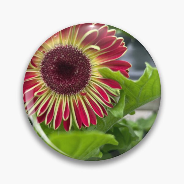 Item preview, Daisy designed and sold by Lauracolleen3.