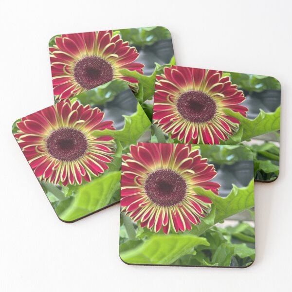 Item preview, Daisy designed and sold by Lauracolleen3.