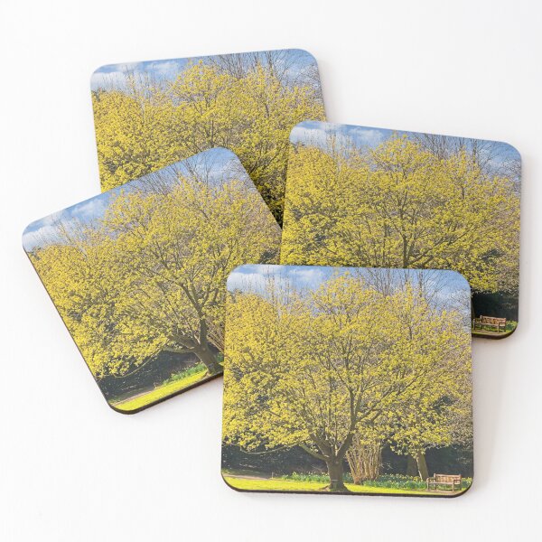 Item preview, Springtime Nature in Durham Botanic Garden designed and sold by Martyn R Arnold Fine Art Nature & Landscape Photography.
