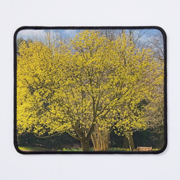 Item preview, Springtime Nature in Durham Botanic Garden designed and sold by Martyn R Arnold Fine Art Nature & Landscape Photography.
