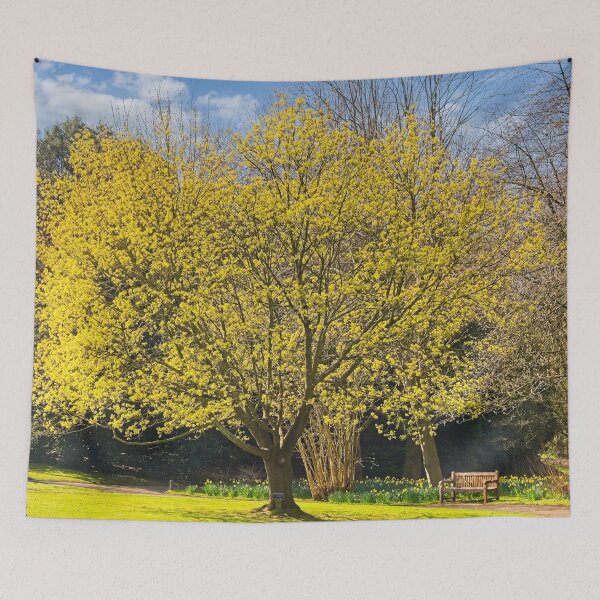 Item preview, Springtime Nature in Durham Botanic Garden designed and sold by Martyn R Arnold Fine Art Nature & Landscape Photography.