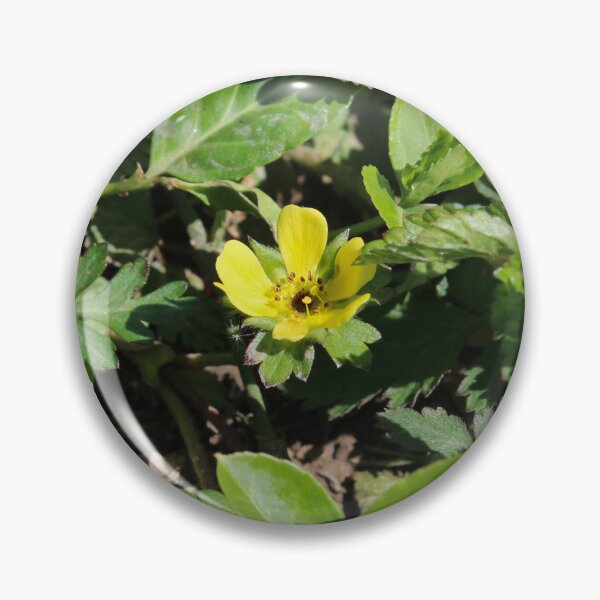 Item preview, snakeberry cinquefoil designed and sold by McFleur's Lens.