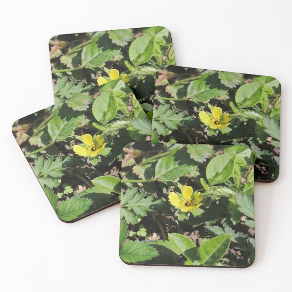 Item preview, snakeberry cinquefoil designed and sold by McFleur's Lens.