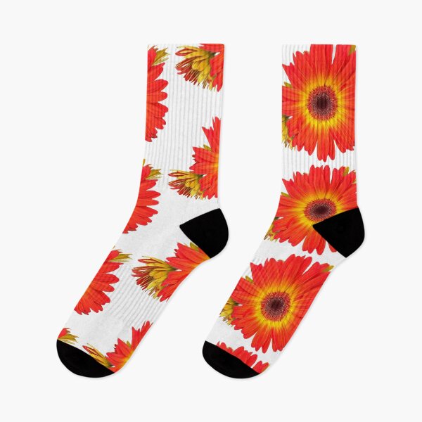 Item preview, Daisies  designed and sold by Lauracolleen3.