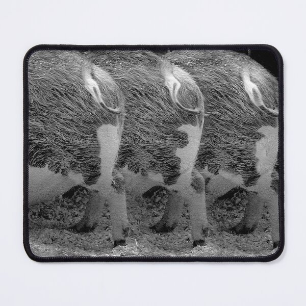 Item preview, Three Little Pigs designed and sold by CarolM.