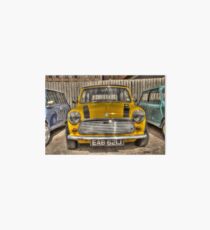 Lincoln Big Mini Day Art Board