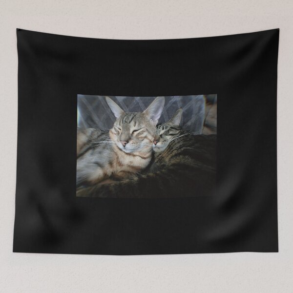 Item preview, Kitty Snuggles designed and sold by ThinkCommon.