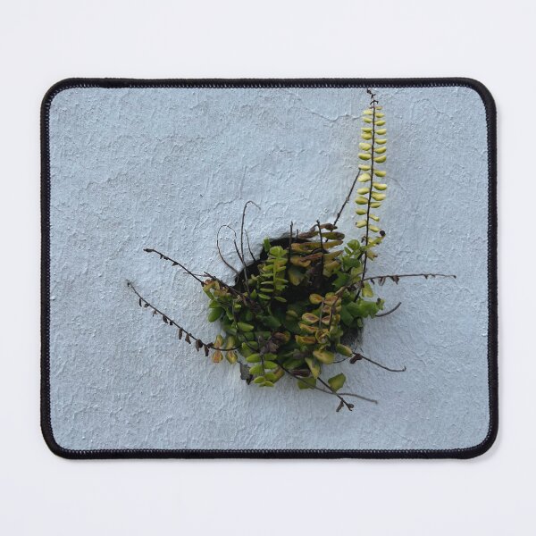 Item preview, Green wall designed and sold by Tyfrad.