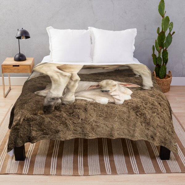 Item preview, little calf on the farm designed and sold by felipequeiroz.