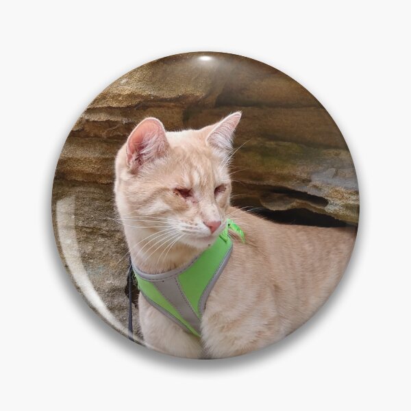 Item preview, Symba hiking in the Wayne National Forest designed and sold by JanelSymba.