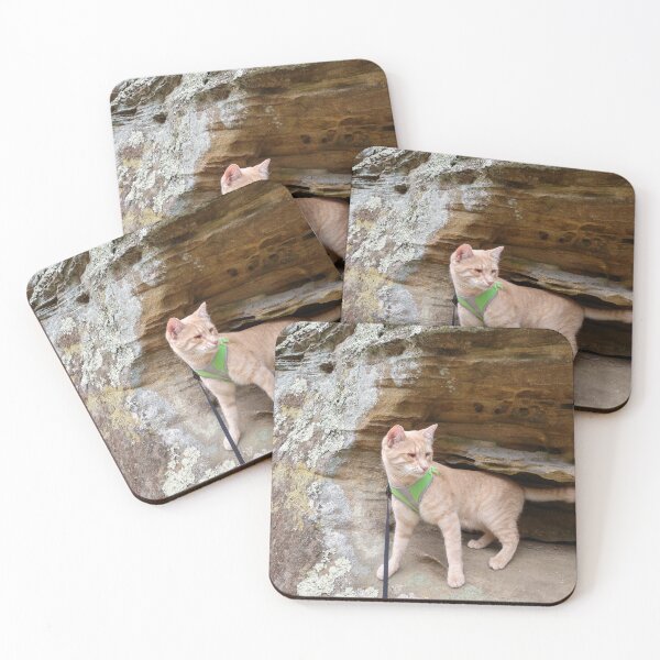 Item preview, Symba hiking in the Wayne National Forest designed and sold by JanelSymba.