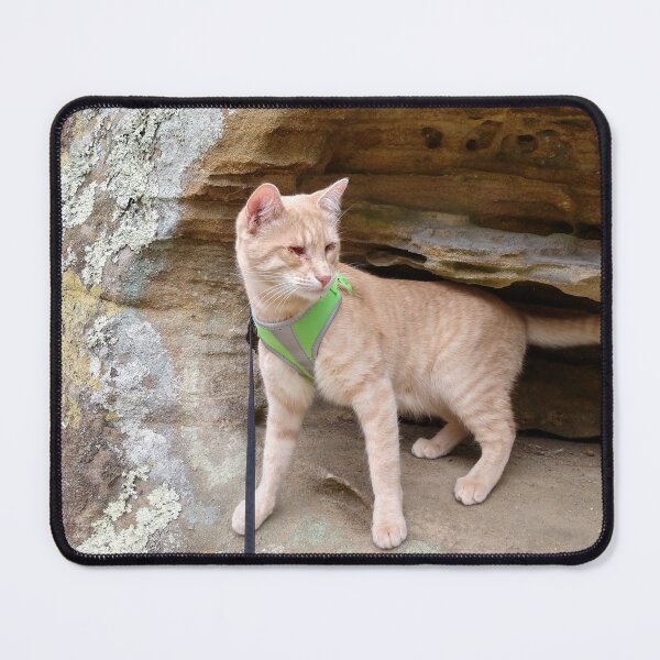 Item preview, Symba hiking in the Wayne National Forest designed and sold by JanelSymba.