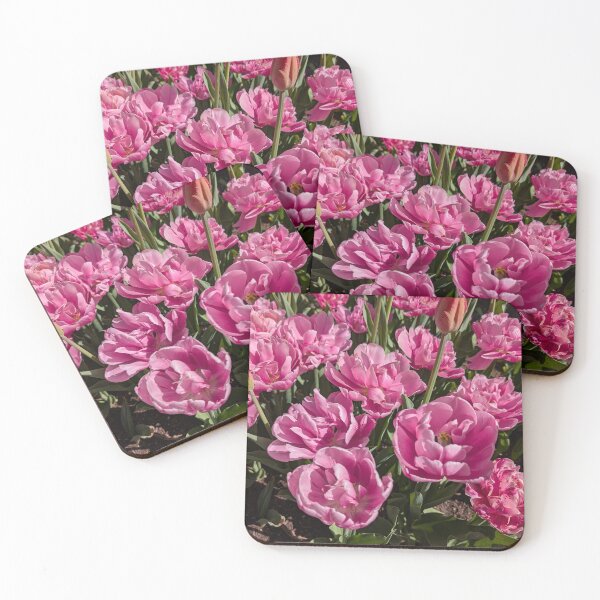 Item preview, Pink tulips in the sun designed and sold by Amy Farley.