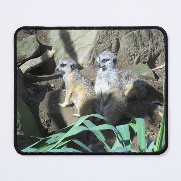 Item preview, Cute Sunning Meerkats  designed and sold by TheRealmsBeyond.