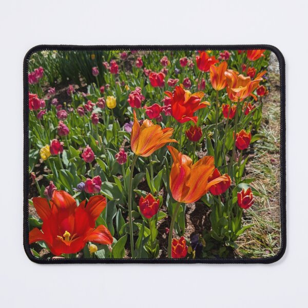 Item preview, Tulip garden - Red and Orange designed and sold by Amy Farley.