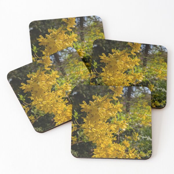 Item preview, Sunny Forsythia designed and sold by Amy Farley.