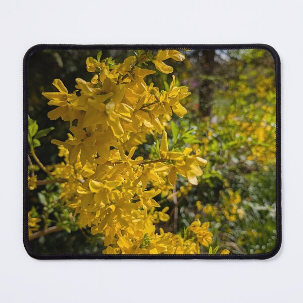 Item preview, Sunny Forsythia designed and sold by Amy Farley.