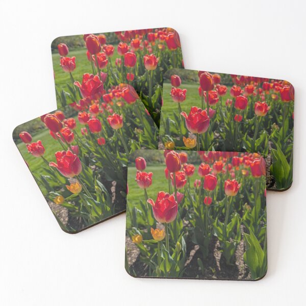 Item preview, Sunny red tulips designed and sold by Amy Farley.