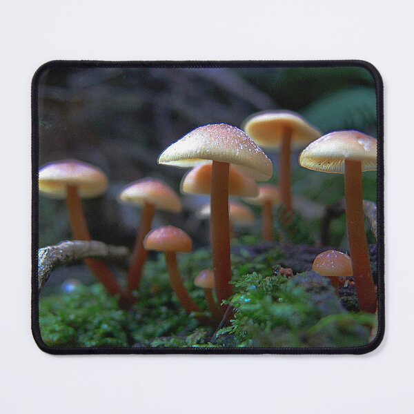 Item preview, A Wandering to the Centre of the Earth  designed and sold by Larry Davis.