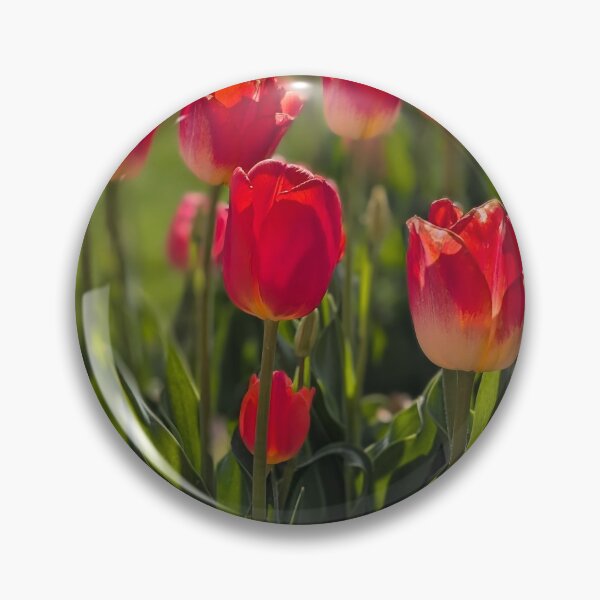 Item preview, Sunny Red Tulips 2 designed and sold by Amy Farley.
