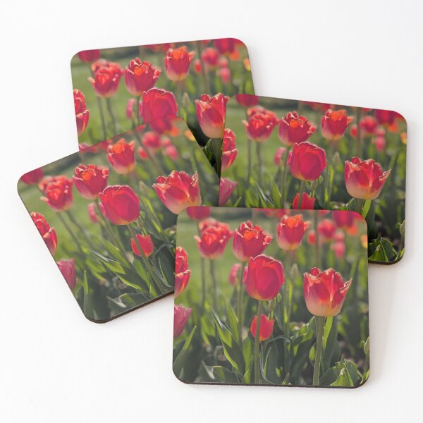 Item preview, Sunny Red Tulips 2 designed and sold by Amy Farley.