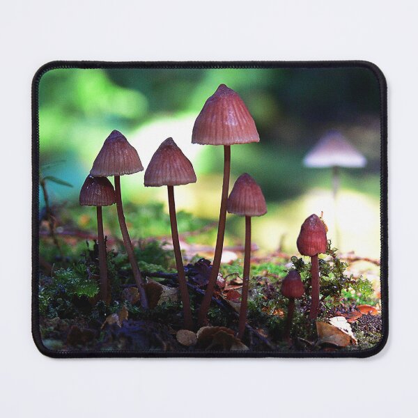 Item preview, The Faeries Playground designed and sold by Larry Davis.