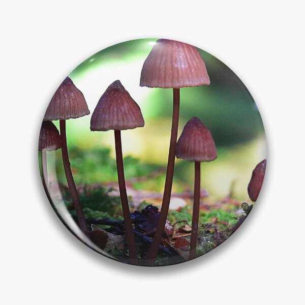 Item preview, The Faeries Playground designed and sold by Larry Davis.