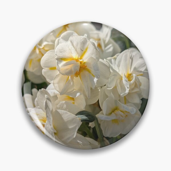Item preview, White Ruffled Daffodils  designed and sold by Amy Farley.