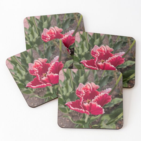 Item preview, Pink ruffled tulip designed and sold by Amy Farley.