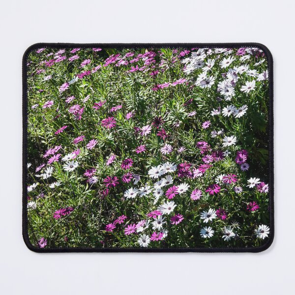 Item preview, White and Purple Daisies designed and sold by Douglas E. Welch Design and Photography.