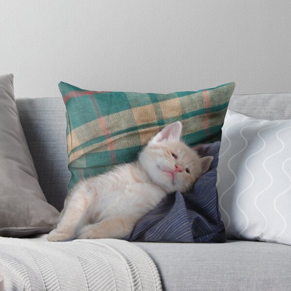 Item preview, As a kitten Symba finding a comfortable place to Sleep designed and sold by JanelSymba.