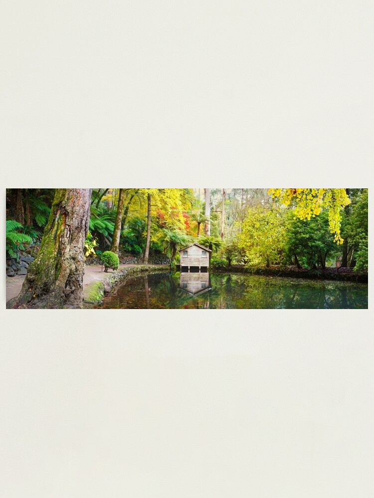Alternate view of Boathouse in Autumn, Alfred Nicholas Gardens, Melbourne, Australia Photographic Print