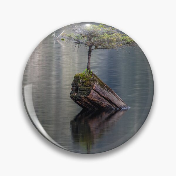 Item preview, Fairy Tree Vancouver Island designed and sold by LarsOlofPhoto.