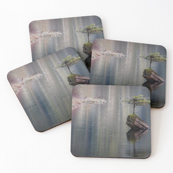 Item preview, Fairy Tree Vancouver Island designed and sold by LarsOlofPhoto.
