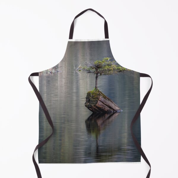 Item preview, Fairy Tree Vancouver Island designed and sold by LarsOlofPhoto.