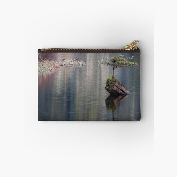 Item preview, Fairy Tree Vancouver Island designed and sold by LarsOlofPhoto.