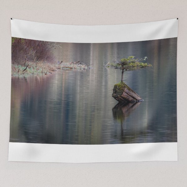Item preview, Fairy Tree Vancouver Island designed and sold by LarsOlofPhoto.
