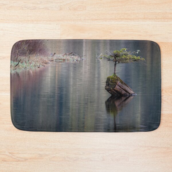 Item preview, Fairy Tree Vancouver Island designed and sold by LarsOlofPhoto.