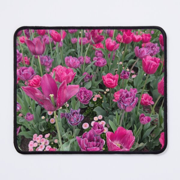 Item preview, A burst of pink tulips designed and sold by Amy Farley.