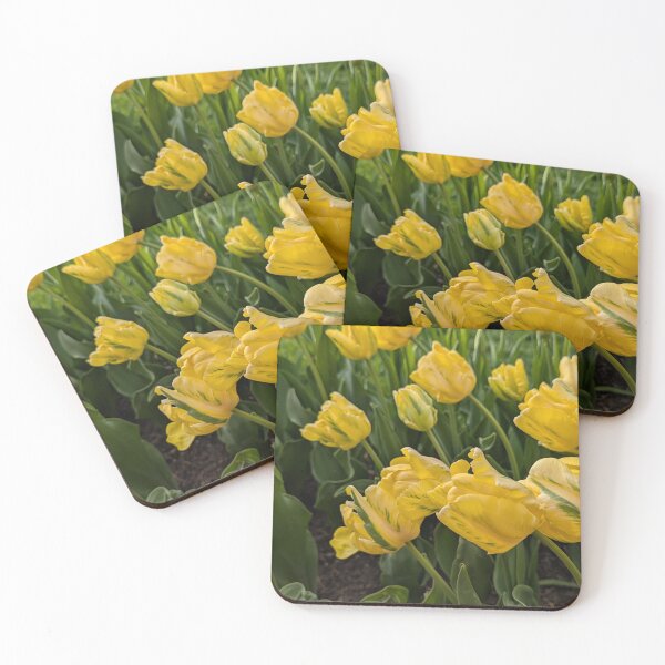 Item preview, Tulips reaching for the sun designed and sold by Amy Farley.